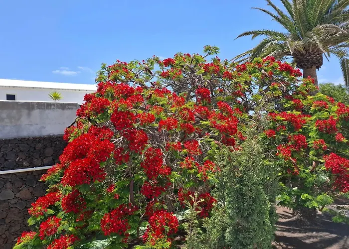 Loma Apartmán Puerto del Carmen (Lanzarote)
