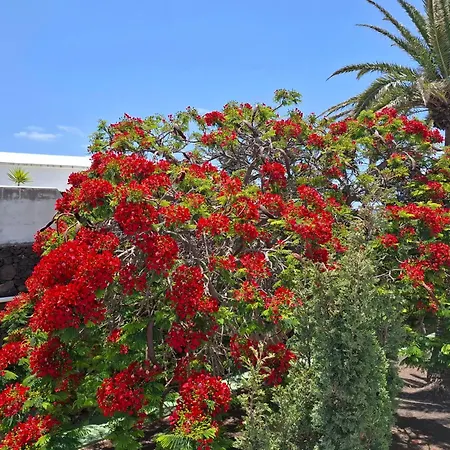 Loma Apartamento Puerto del Carmen (Lanzarote)
